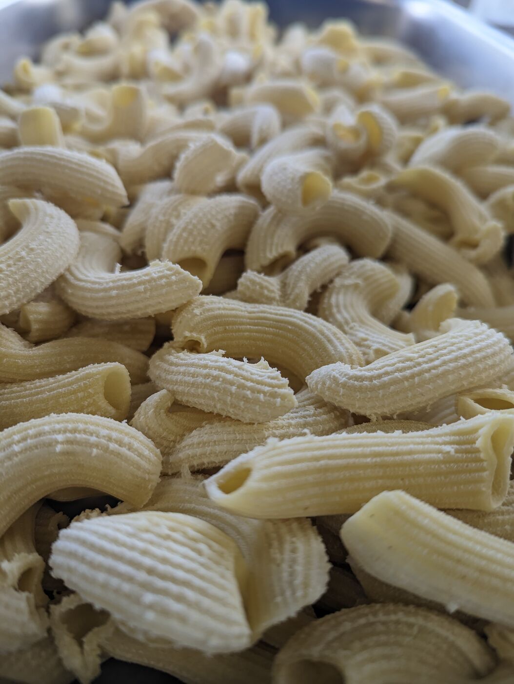 Fresh handmade rigatoni