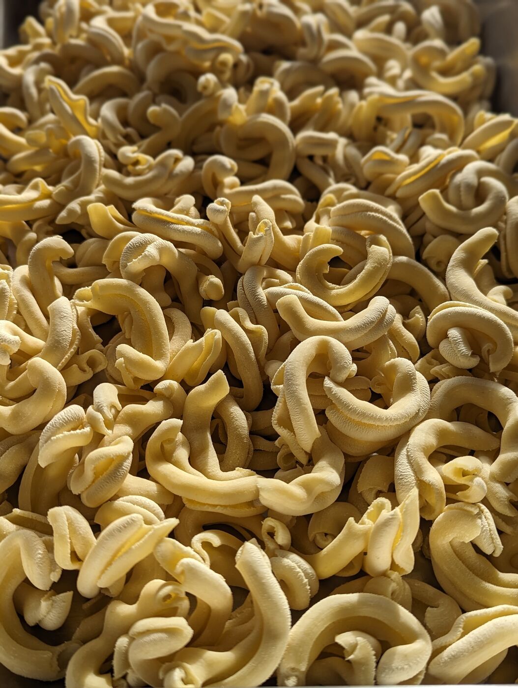 Fresh casarecce