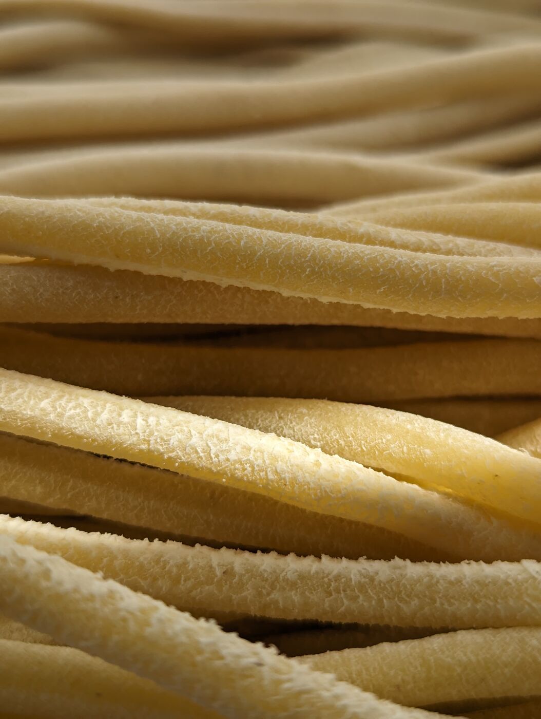 Bronze-drawn pasta, up close
